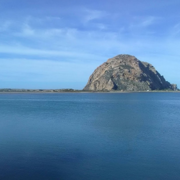 Meet your Posher, Heather - Picture 7 of 8